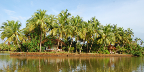 Island view