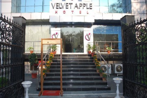 Velvet Apple Hotel