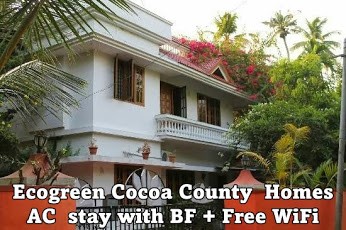 Ecogreen Coco County