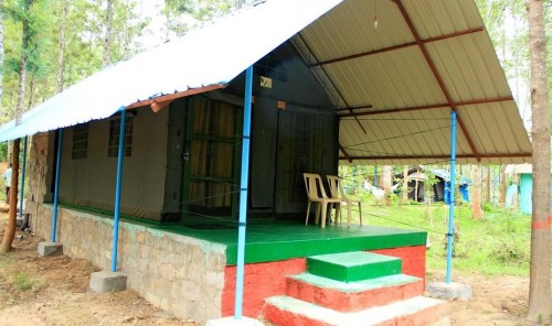 Deep Jungle Home