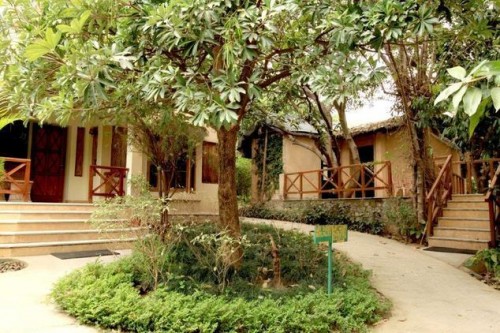 Tiger Camp