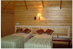 Tree House Bedroom