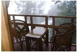 Tree House Balcony