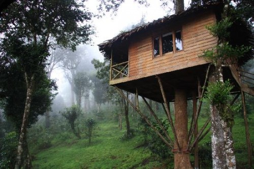 Nature Zone Resort