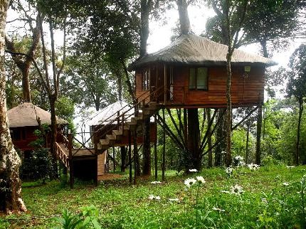 Nature Zone Resort