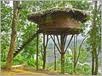 tree house